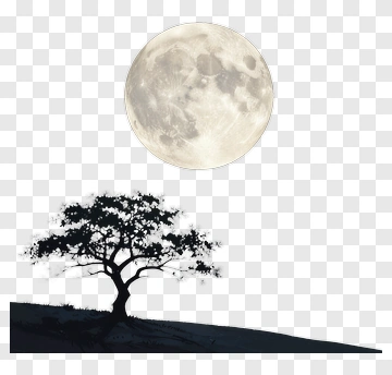 Silhouette Of A Tree Under A Full Moon PNG