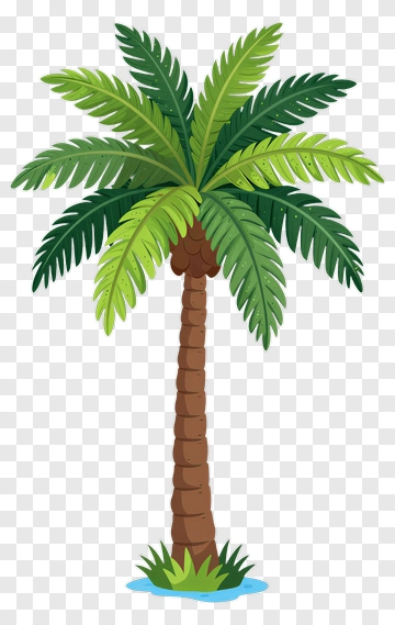 Palm Tree With Green Leaves And Brown Trunk PNG