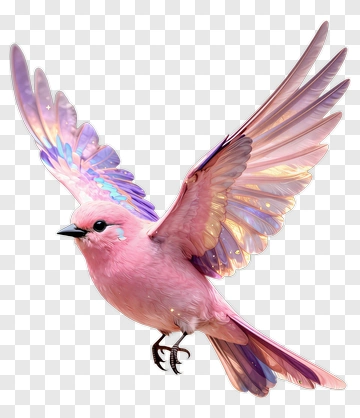 Pink Bird With Rainbow Wings PNG