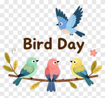 Bird Day Celebration PNG