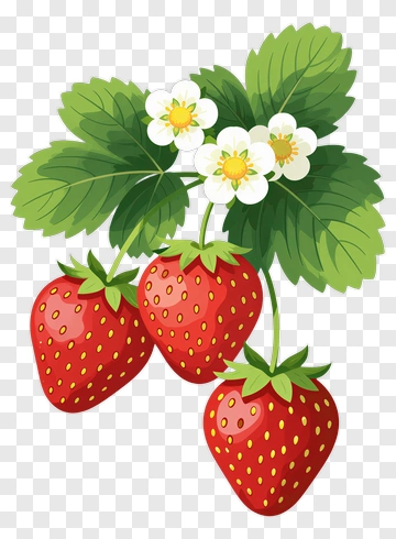 Strawberry With Flowers And Leaves PNG