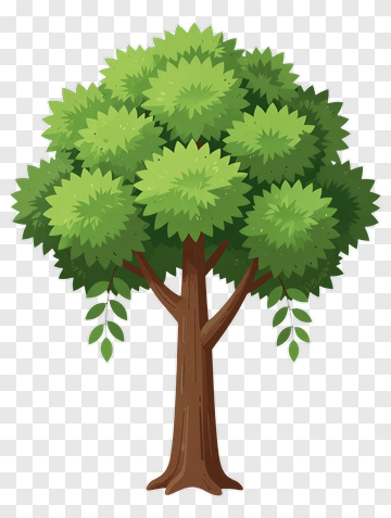 Cartoon Tree With Full Canopy PNG