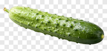 Fresh Cucumber With Water Droplets PNG