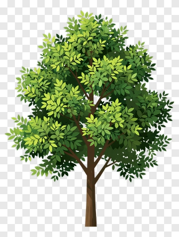 Tree With Layered Green Leaves PNG