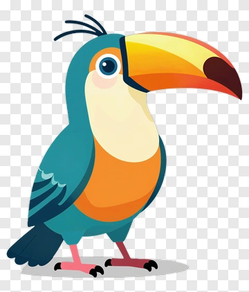 Toucan Bird Illustration PNG