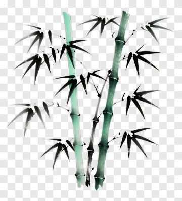 Bamboo Painting PNG