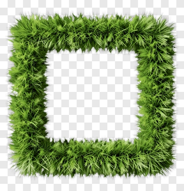 Grass Frame PNG