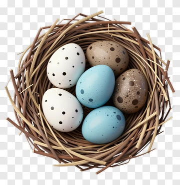 Nest With Speckled Eggs PNG