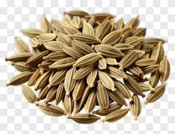 Cumin Seed Cluster PNG