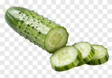 Fresh Cucumber Sliced PNG