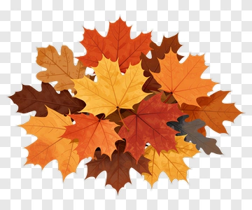 Autumn Leaves Cluster PNG