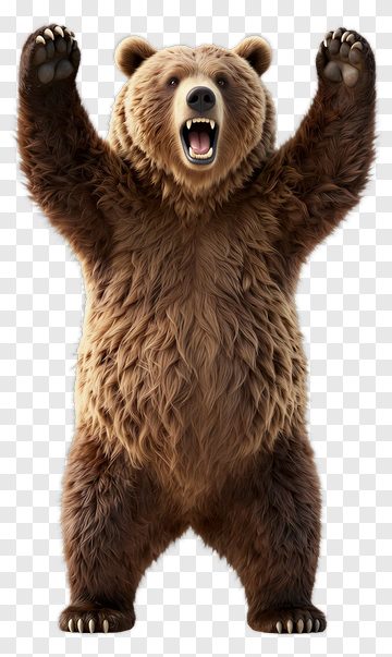 Brown Bear Standing On Two Legs PNG