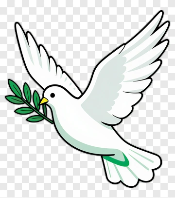 White Dove Holding Olive Branch PNG