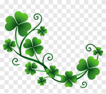 Green Four Leaf Clover Vine Design PNG
