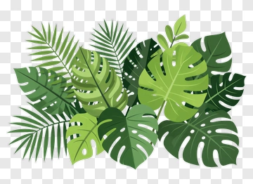 Tropical Leaves Collection PNG