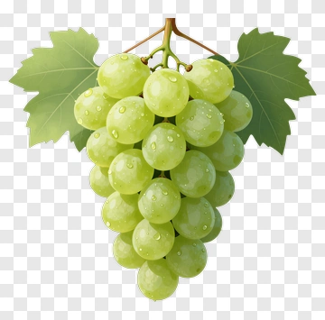 Cluster Of Fresh Green Grapes PNG