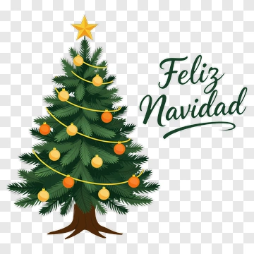 Christmas Tree With Star And Ornaments PNG