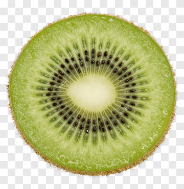 Cross Section Of A Kiwi Fruit PNG