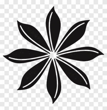 Black And White Flower Design PNG