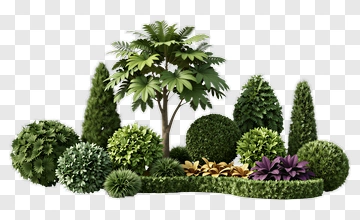 Garden Arrangement With Tree And Shrubs PNG