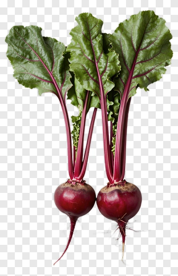 Two Fresh Beetroots With Green Leaves PNG