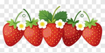 Row Of Strawberries With Flowers PNG