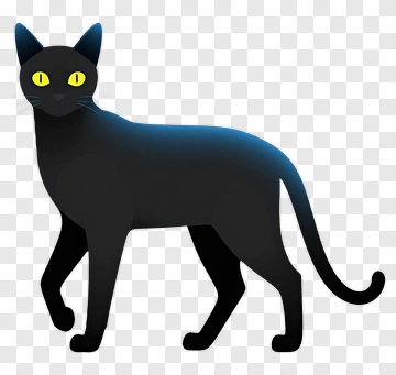 Black Cat With Yellow Eyes PNG