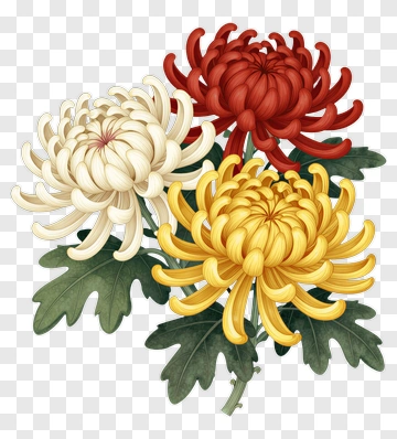 Chrysanthemum Bouquet In Vibrant Colors PNG
