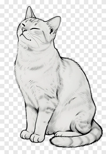 Cat Sitting With Closed Eyes PNG
