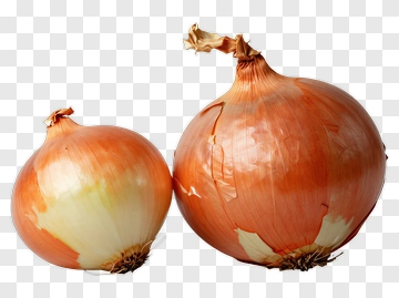 Fresh Onions PNG