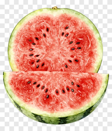 Sliced Watermelon PNG