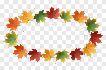 Autumn Leaves In A Circular Arrangement PNG