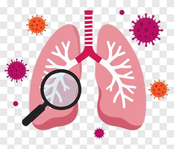 Lungs Under Microscope With Viruses PNG