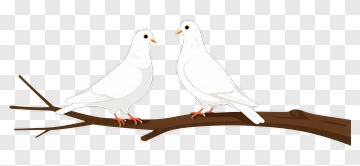 Two Doves On A Branch PNG