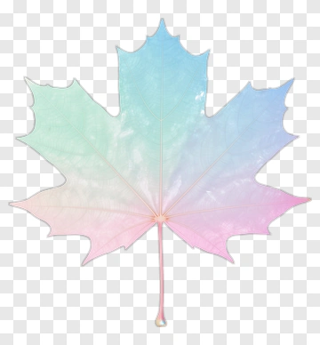 Maple Leaf With Gradient Colors PNG