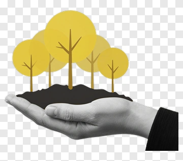 Hand Holding Yellow Trees And Soil PNG