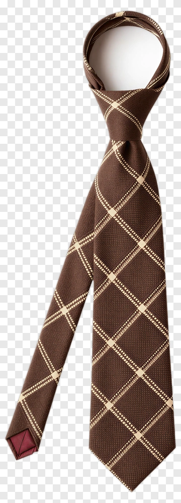 Brown Plaid Necktie With Beige Accents PNG