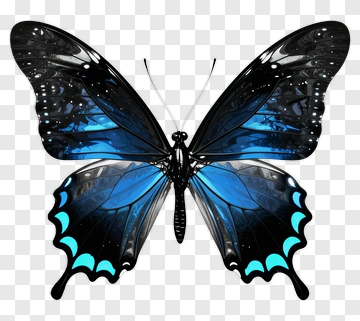 Blue And Black Butterfly PNG