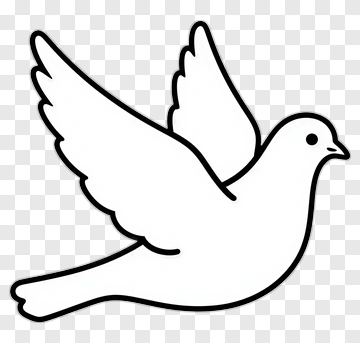 White Dove In Flight PNG