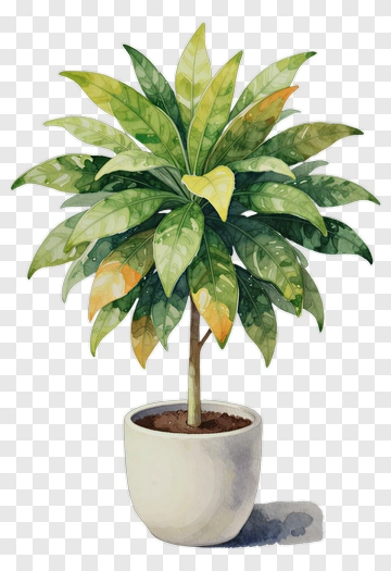 Potted Plant With Green And Yellow Leaves PNG