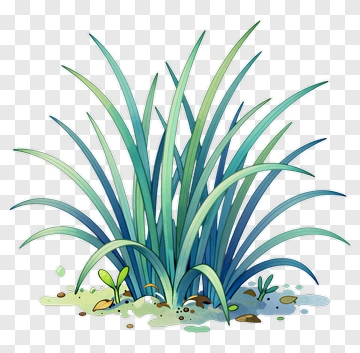 Watercolor Grass Plant PNG
