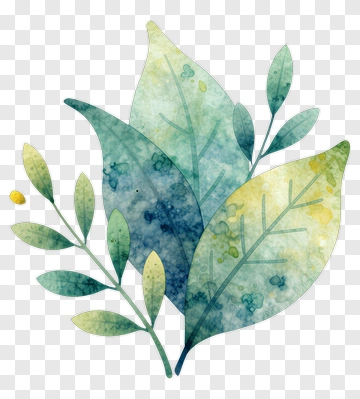 Watercolor Leaf And Branch PNG