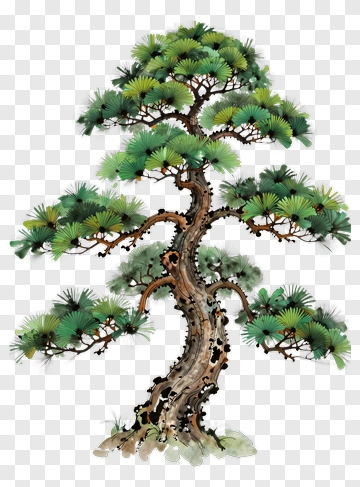 Chinese Style Pine Tree Painting PNG