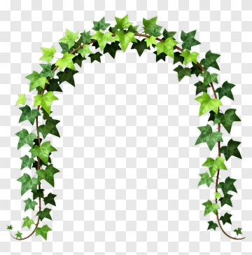 Ivy Arch PNG
