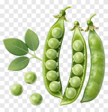 Fresh Pea Pods With Leaves PNG