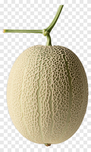 Fresh Melon With Stem PNG