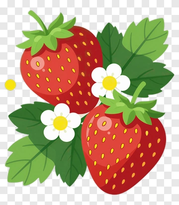 Strawberries With White Flowers PNG