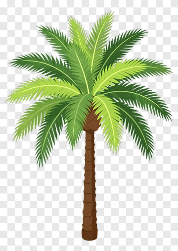 Palm Tree PNG