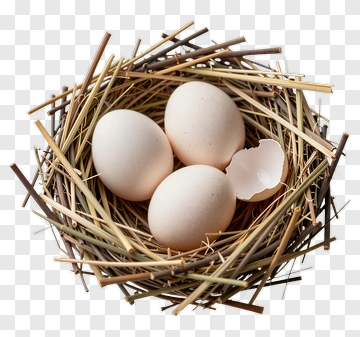 Bird's Nest With Eggs PNG