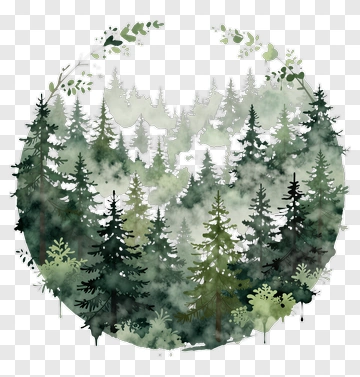 Circular Forest Scene With Mist PNG